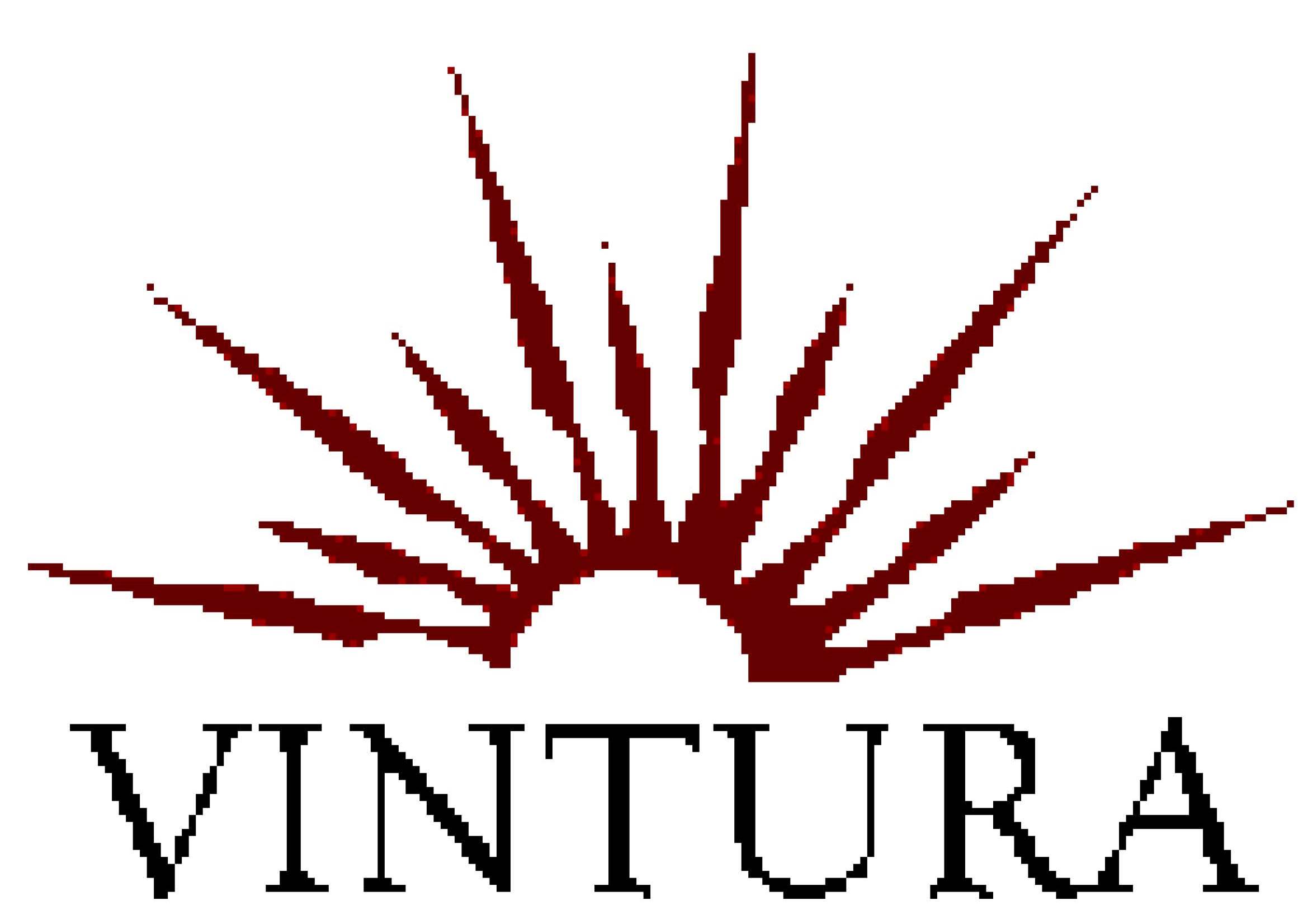 vintura logo